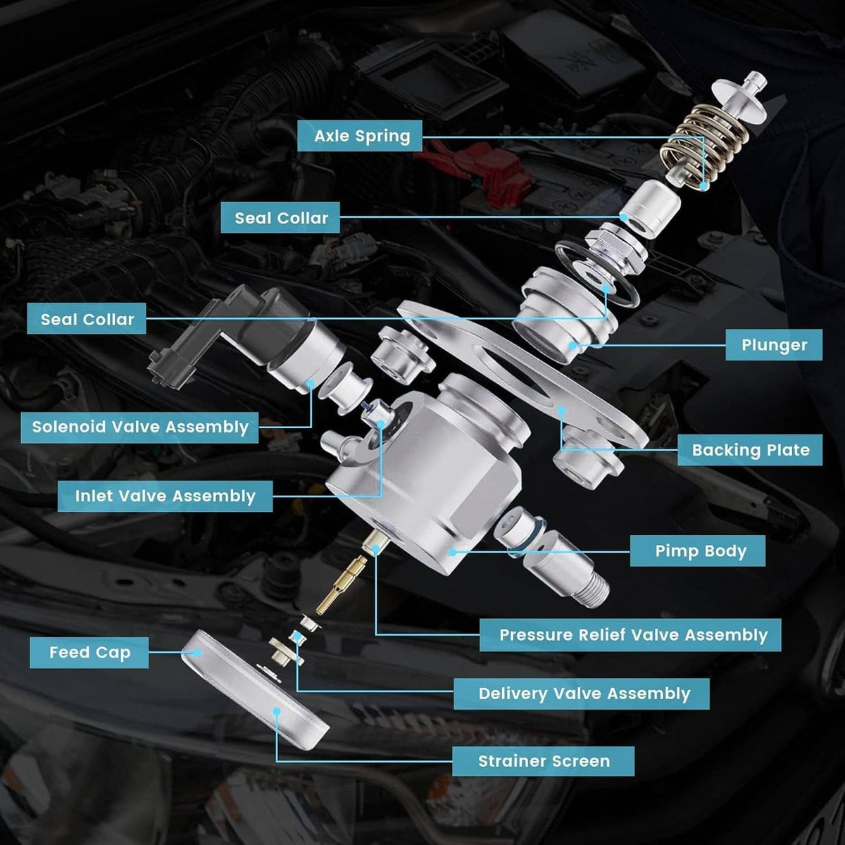 Fuel pump assembly exploded view showing internal metal components
