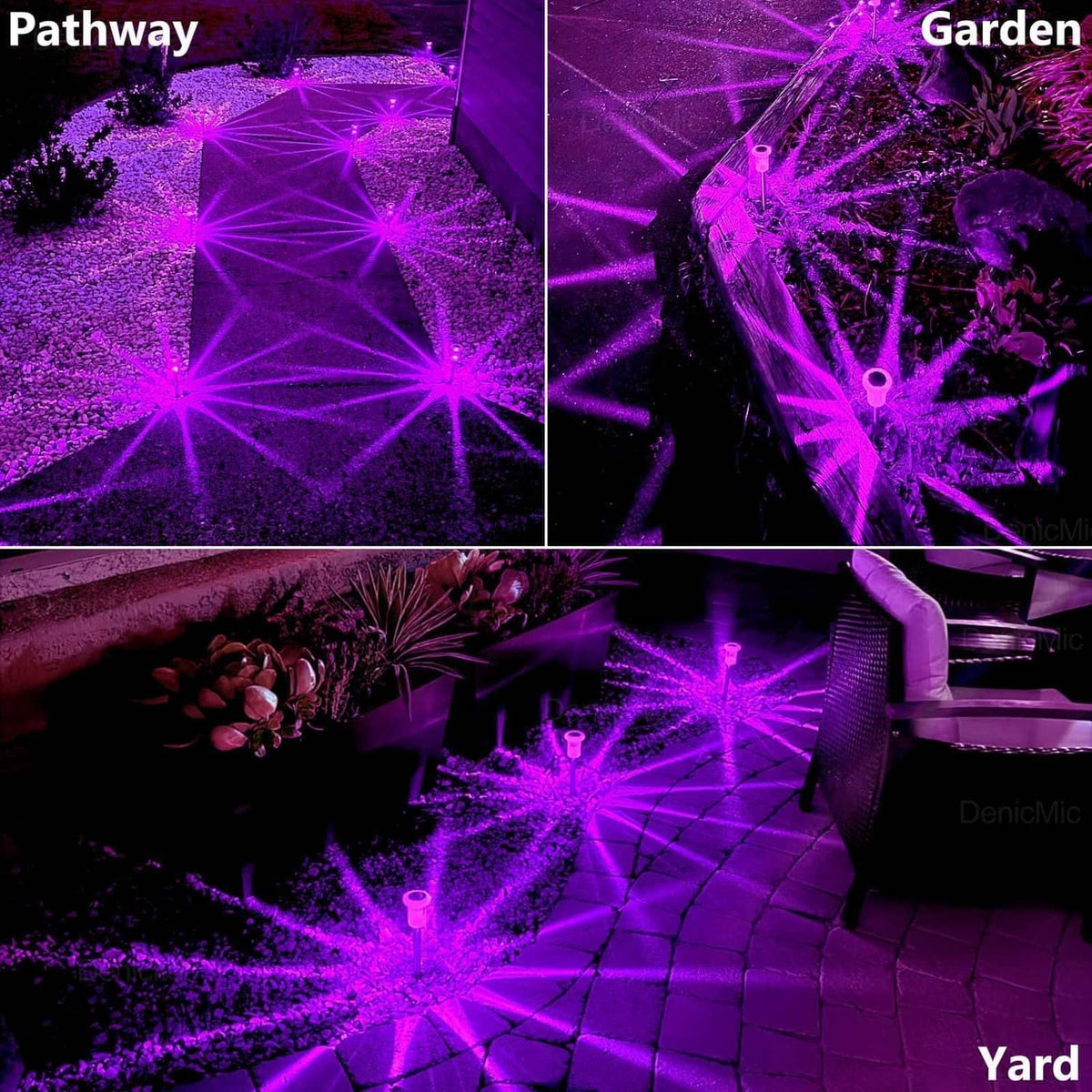 Purple solar pathway spike lights lighting a garden walkway with bright starburst beams