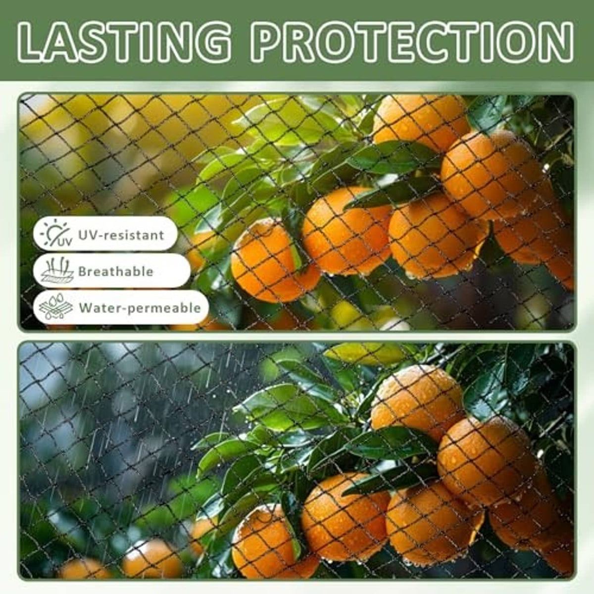 Garden netting stretched over orange fruit bunches, visible square mesh.
