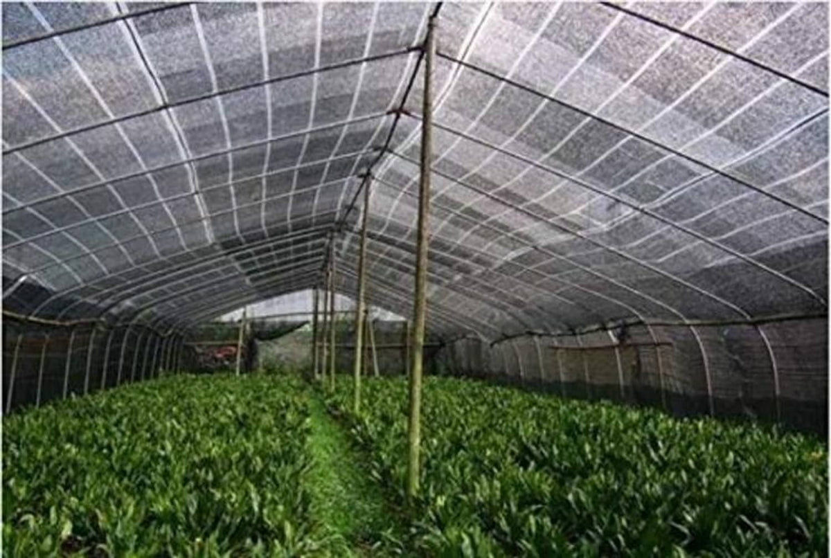 Black mesh shade cloth stretched overhead with grommets along the support frame