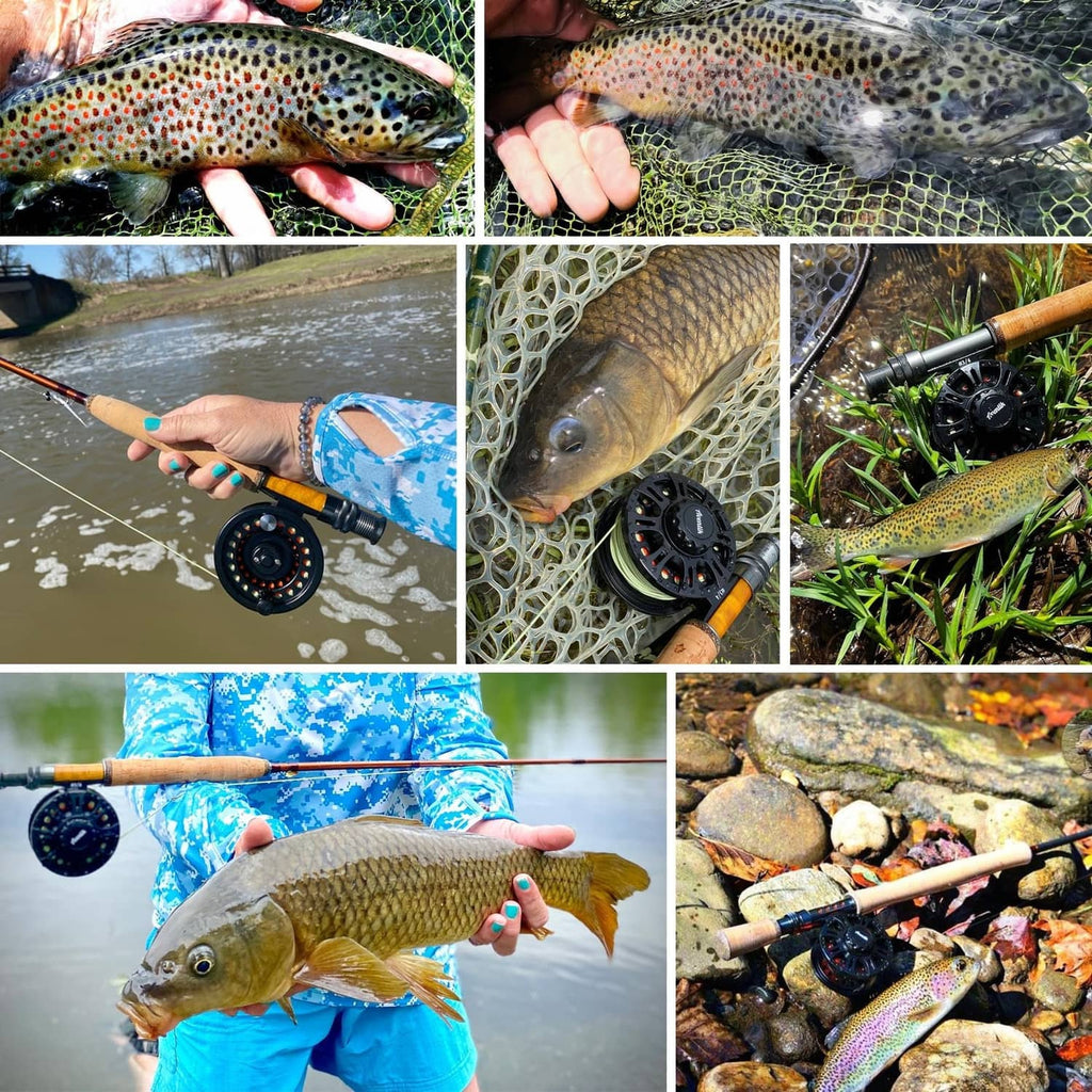 Fly fishing setup with a captured trout and a reel on a casting rod