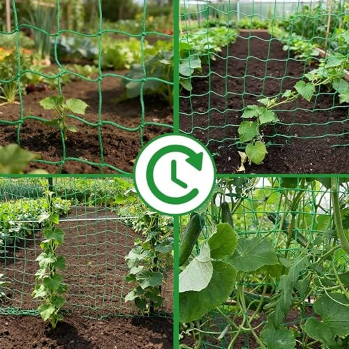 Green trellis netting installed in garden beds for climbing vines