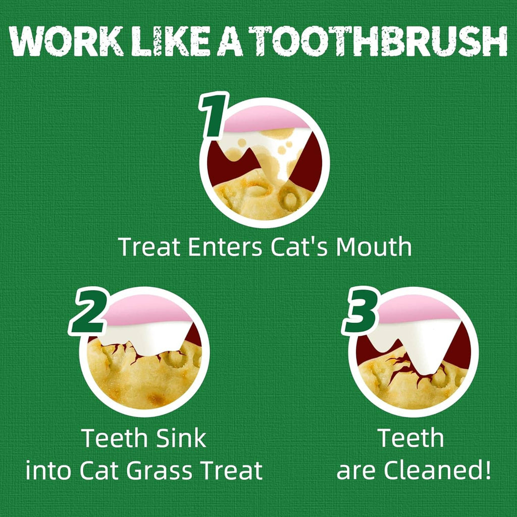 Toothbrush-style benefit graphic showing steps: treat enters mouth and teeth cleaned