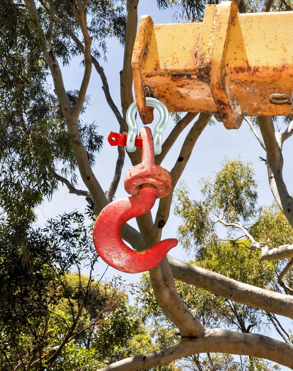 Red and galvanized screw pin shackle anchor attached to a crane lifting hook