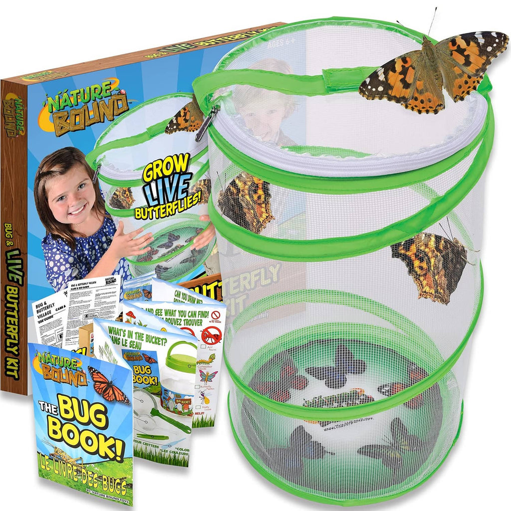 Butterfly growing kit with green mesh pop-up habitat and butterfly inside the netted cup.