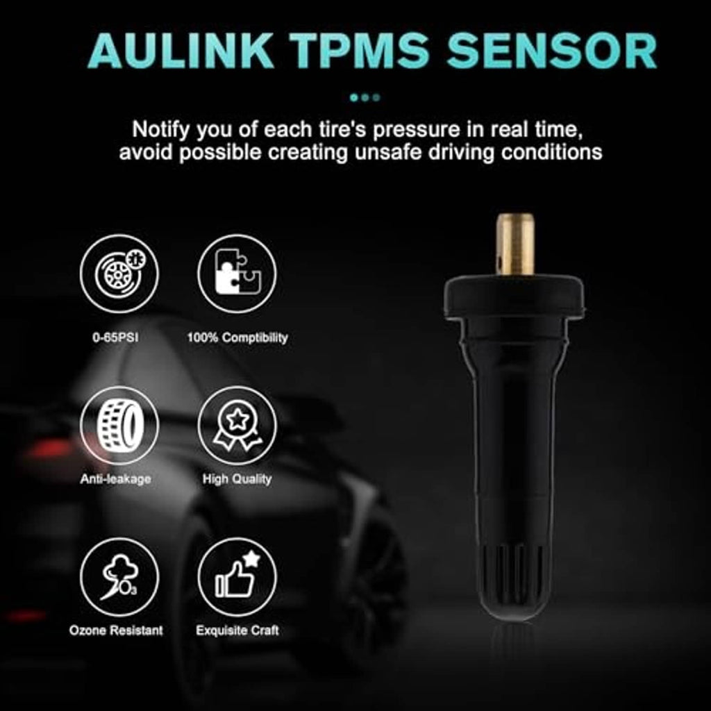 Single TPMS sensor valve stem with black housing and brass valve tip
