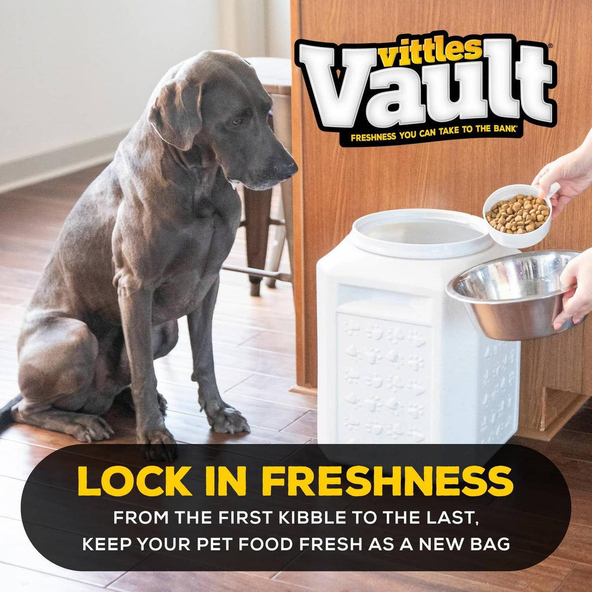 White pet food storage container with open lid, dog and bowl nearby