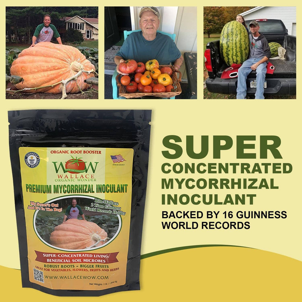 Mycorrhizal inoculant pouch with small potted seedling and exposed roots