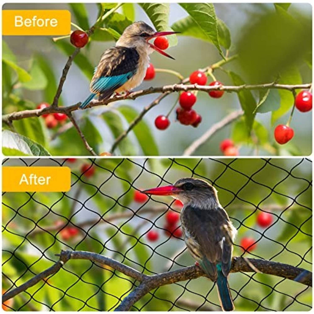 Bird netting installed over fruit branches, before and after protection panels