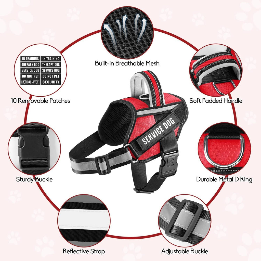 Black and red service dog vest harness with leash, reflective strap, and metal ring