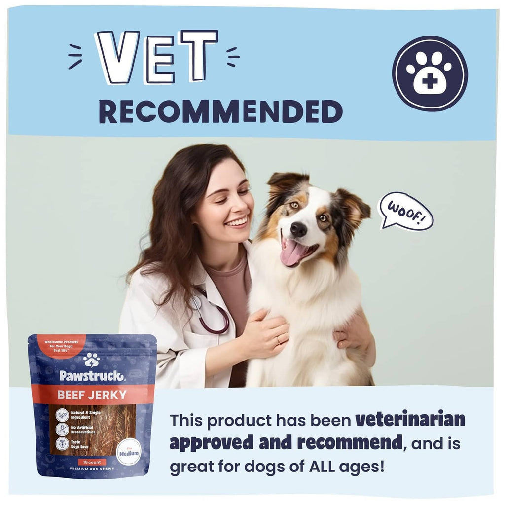 Veterinarian recommended Pawstruck beef jerky treats with dog and treat pouch