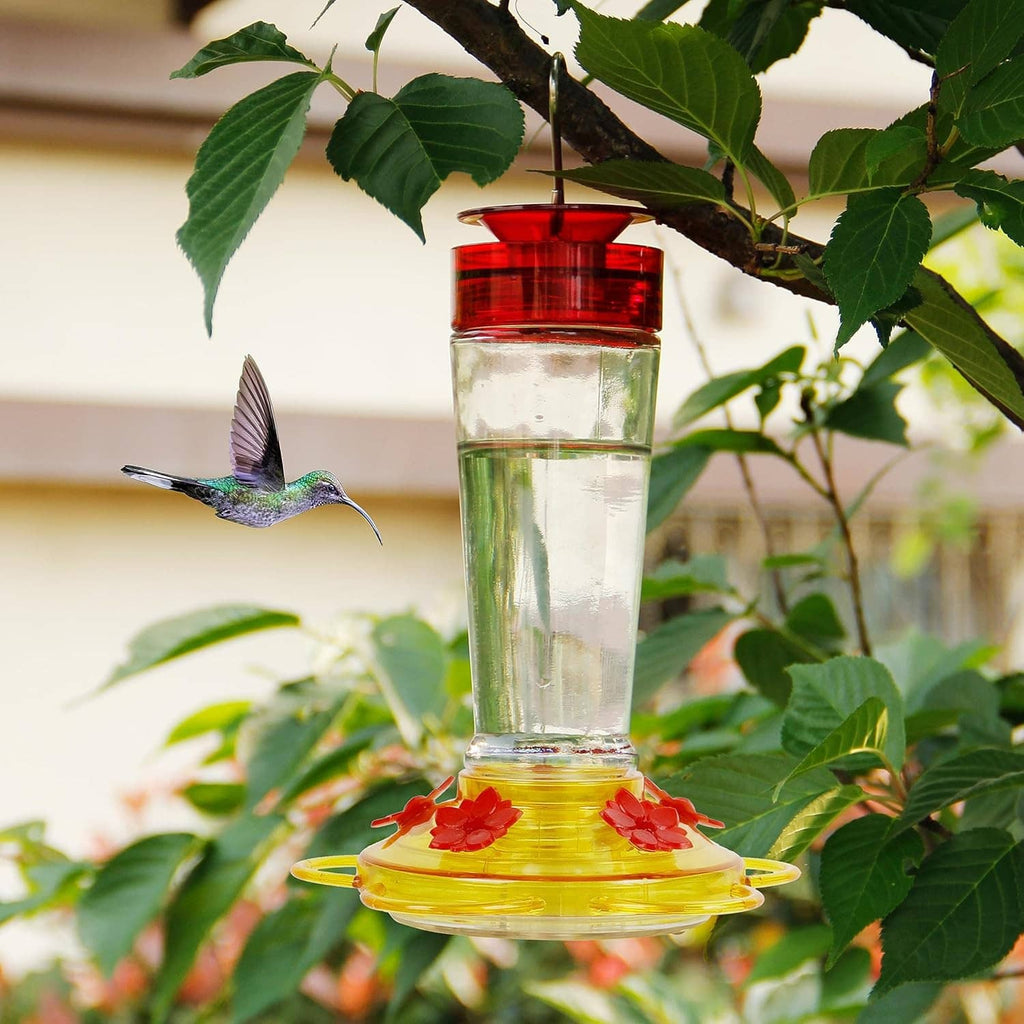 Hummingbird feeder glass bottle with red top and yellow 5-port flower feeding tray