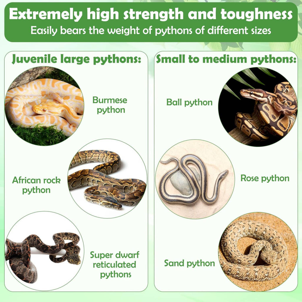 Durable snake climbing enrichment links sized for various python sizes.