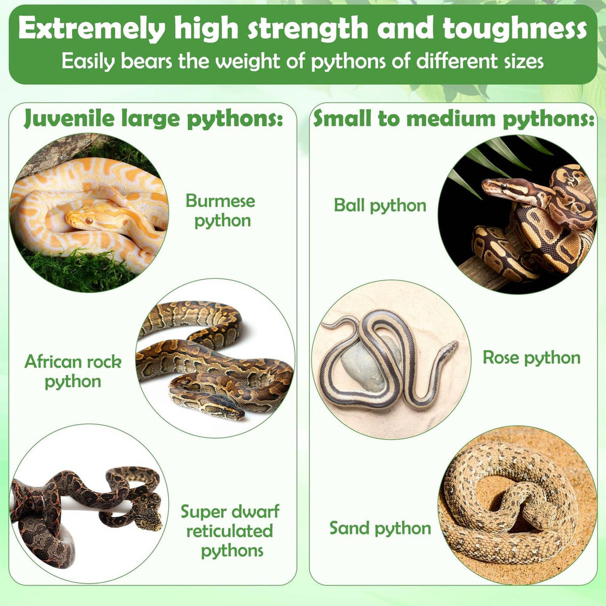 Durable snake climbing enrichment links sized for various python sizes.