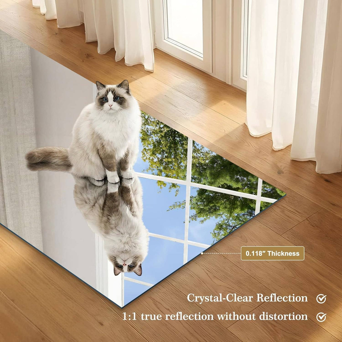Frameless mirror panel with corner view and cat reflection on the glass