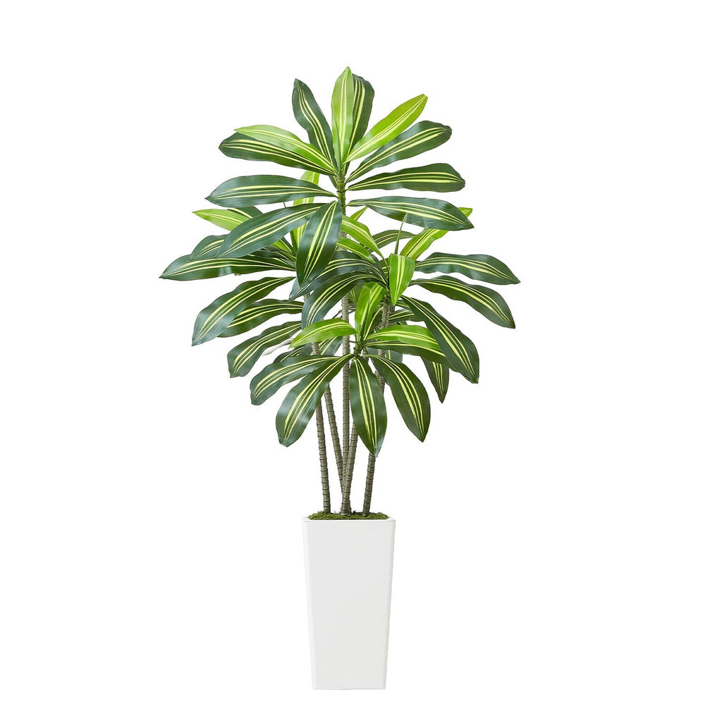 Faux dracaena tree with lush green leaves in a white square indoor pot
