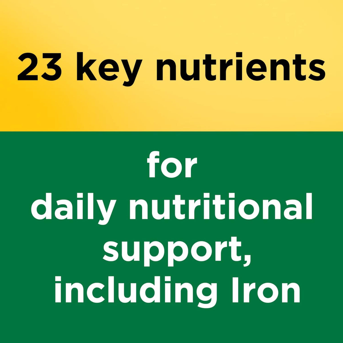 23 key nutrients graphic for daily nutritional support, including iron