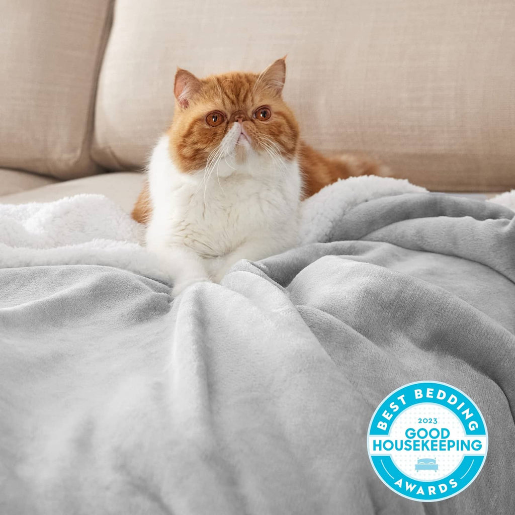 Light grey sherpa fleece throw blanket draped across couch with cat on top