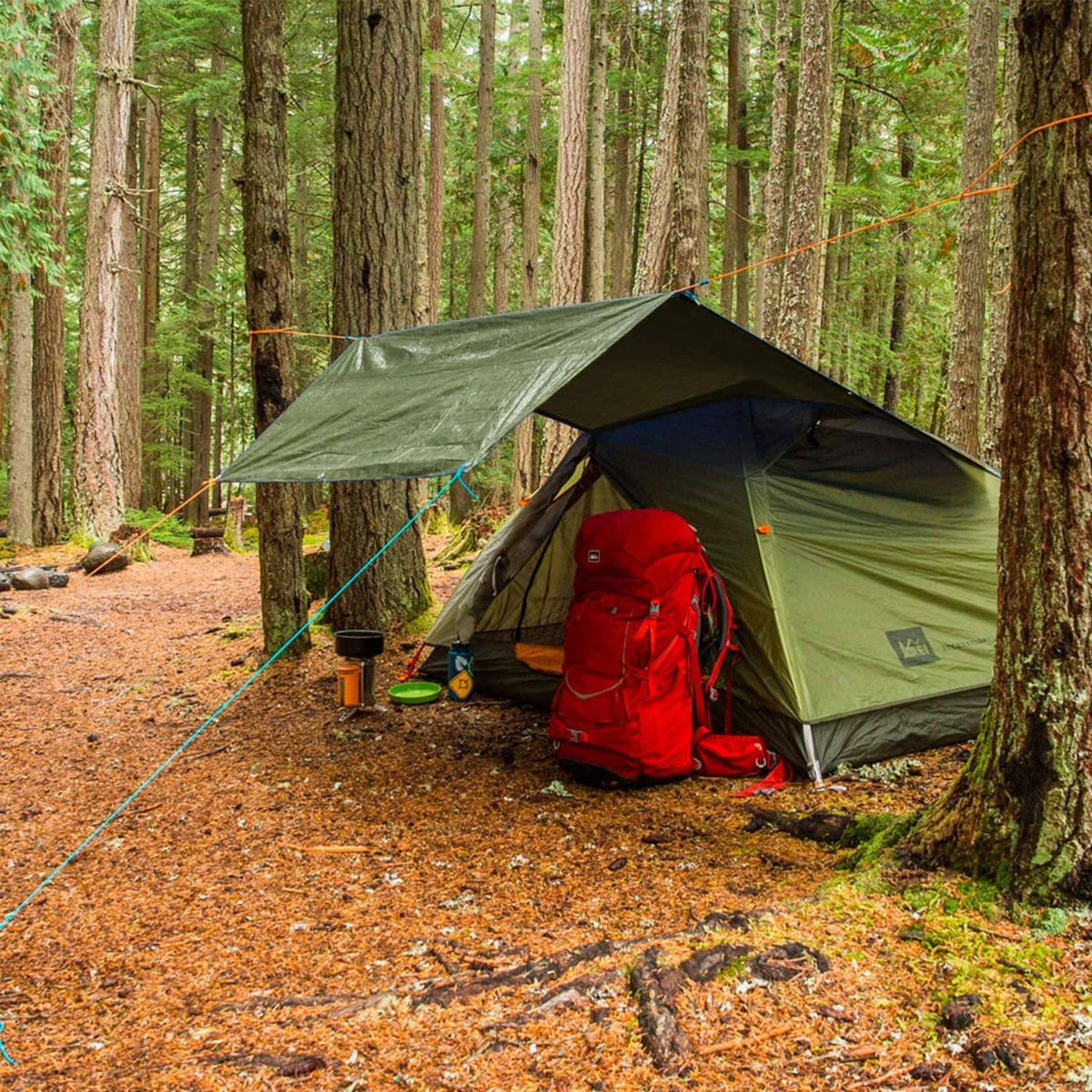 Green waterproof tarp shelter tent with guy lines stretched between stakes