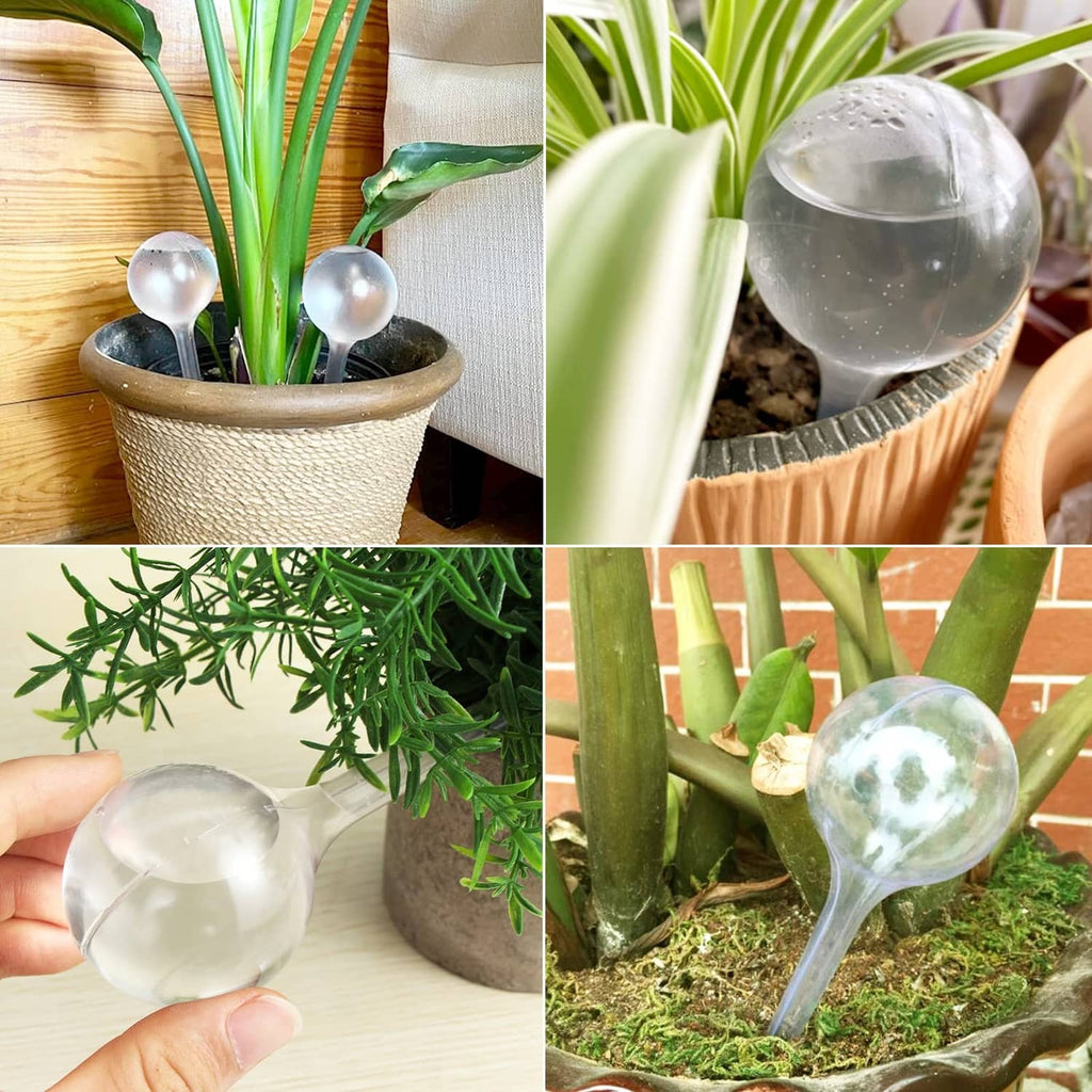 Clear plant watering globe set for indoor planters, bulb tops and tube stakes