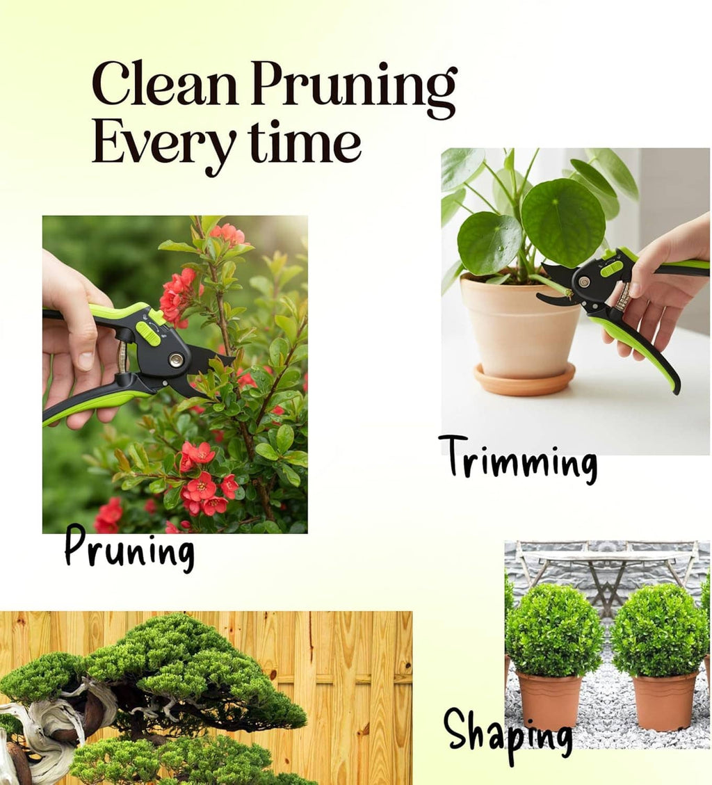 Pruning shears with green handle and black blades for trimming and shaping plants