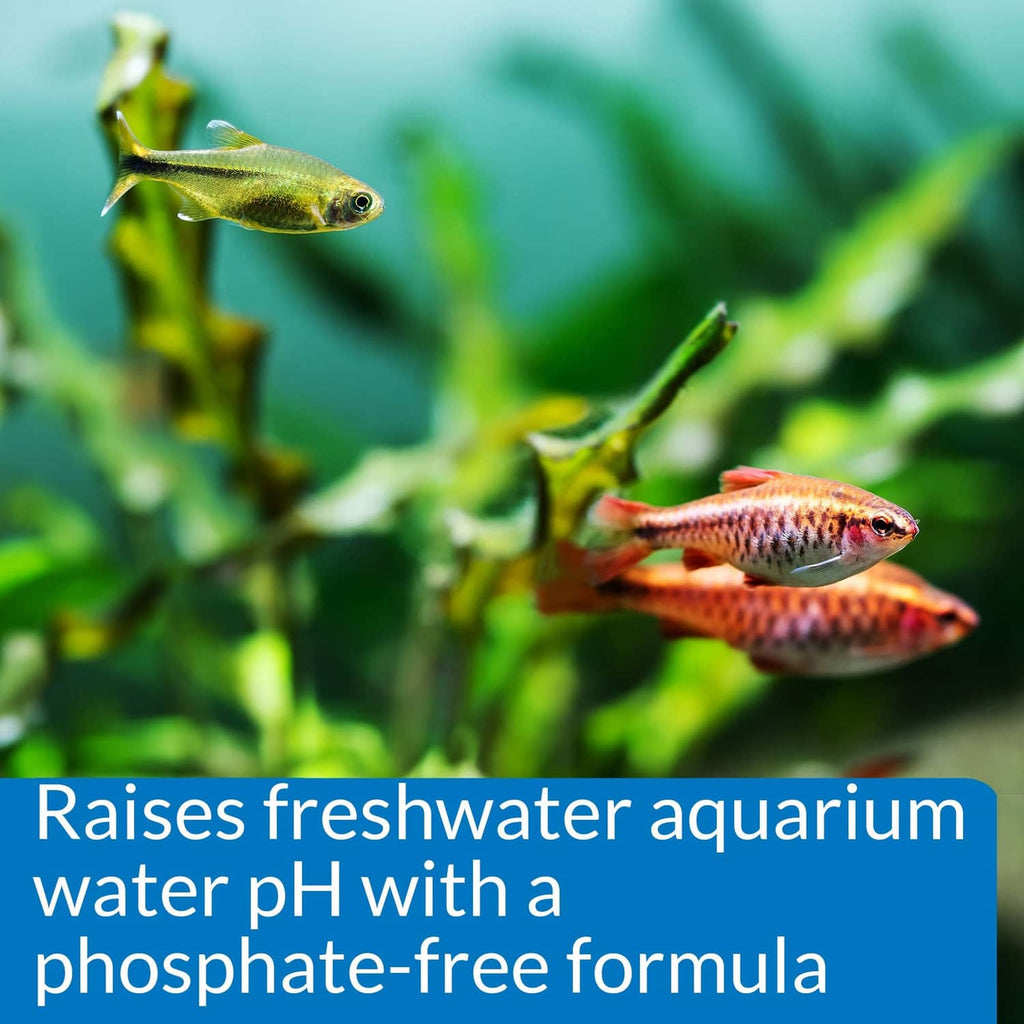 Freshwater aquarium fish with blue panel about raising pH phosphate-free formula