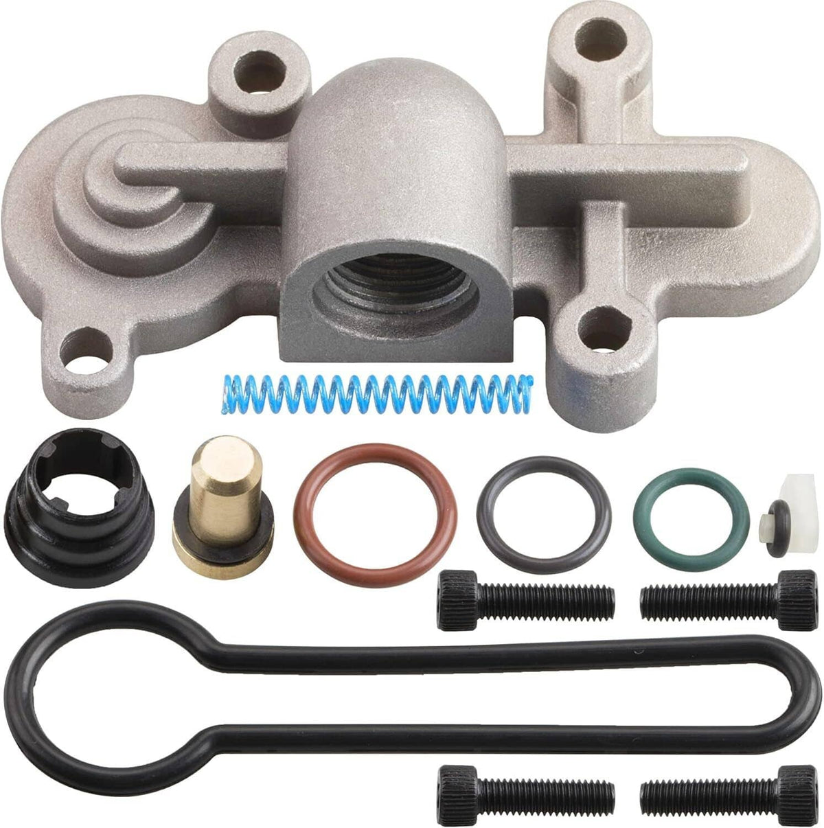 Fuel pressure regulator with fittings and blue spring, metal housing and threaded ports
