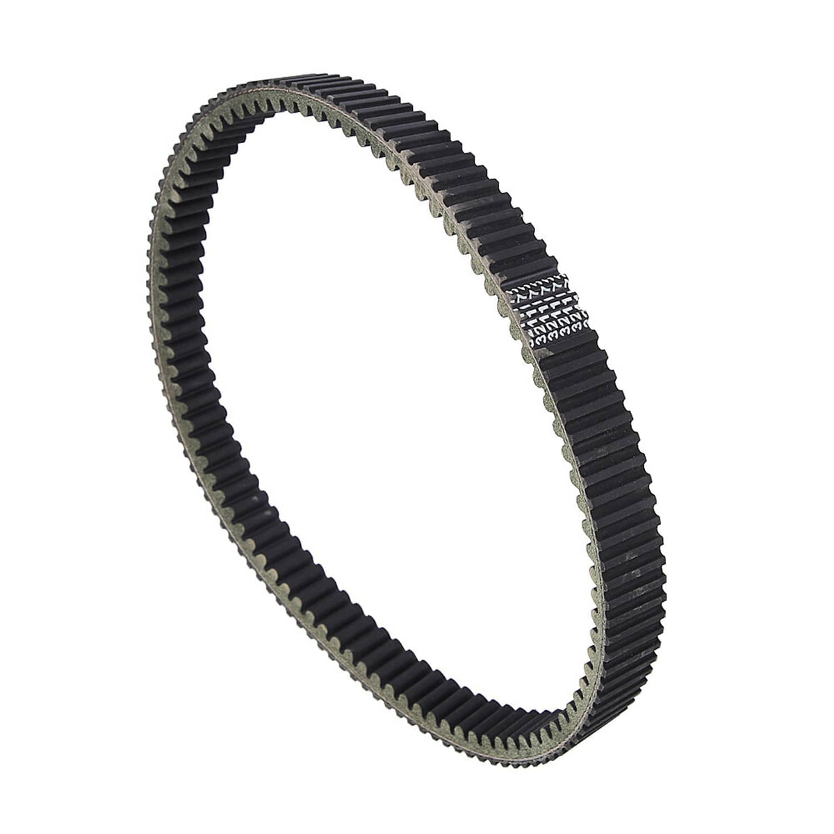 Drive belt with black ribbed face and gray traction underside, angled view