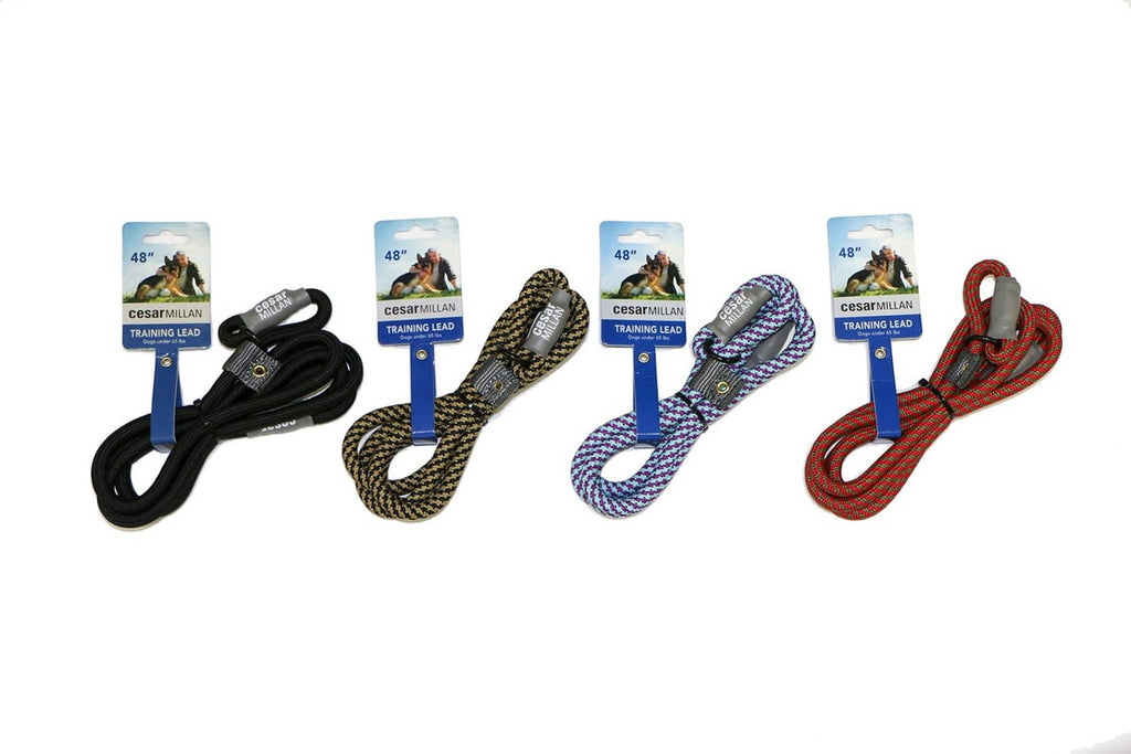 Training slip lead set, assorted colors (black, tan, blue, red) with slip collars, 48 in.
