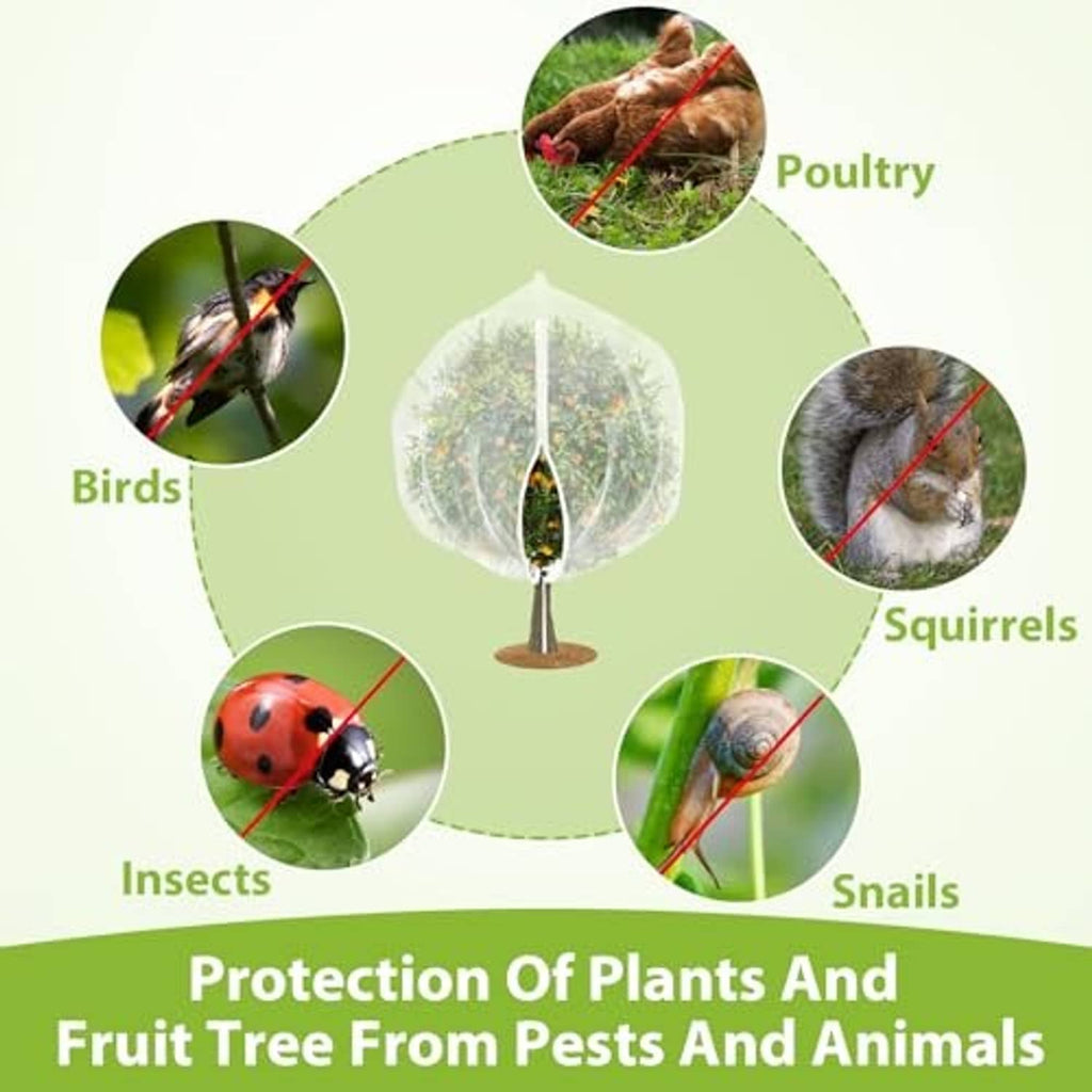 Fruit tree netting bag graphic showing protection from birds, squirrels, insects, and snails