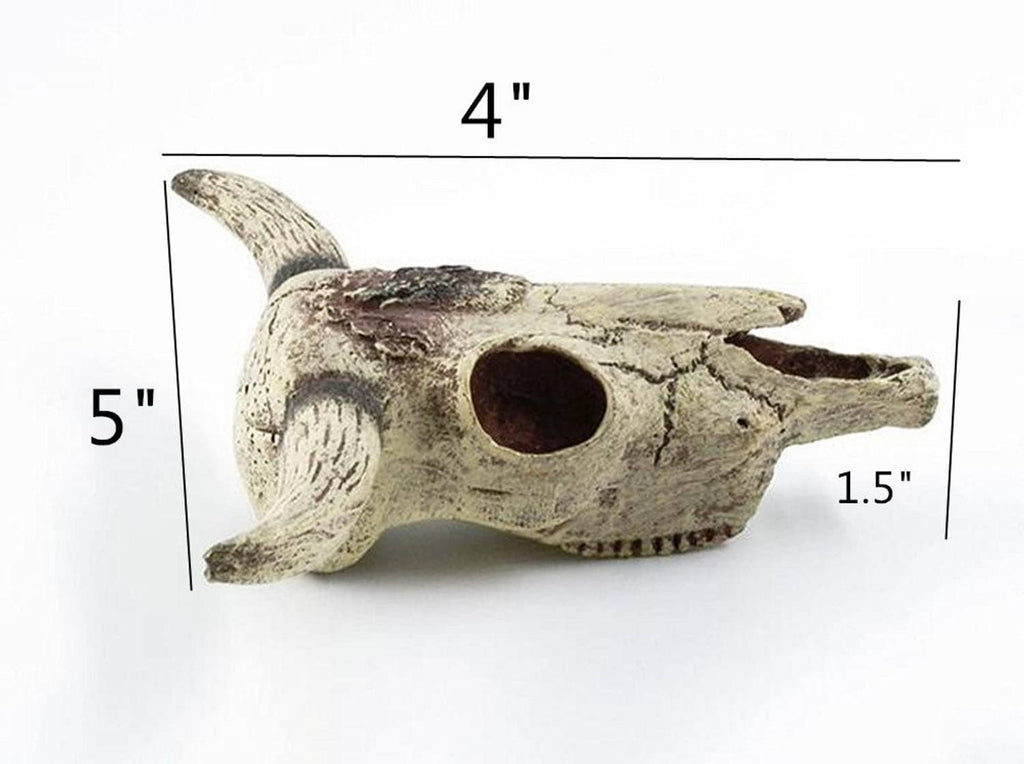 Aquarium skull ornament with dimensions shown: 4 in, 5 in, 1.5 in