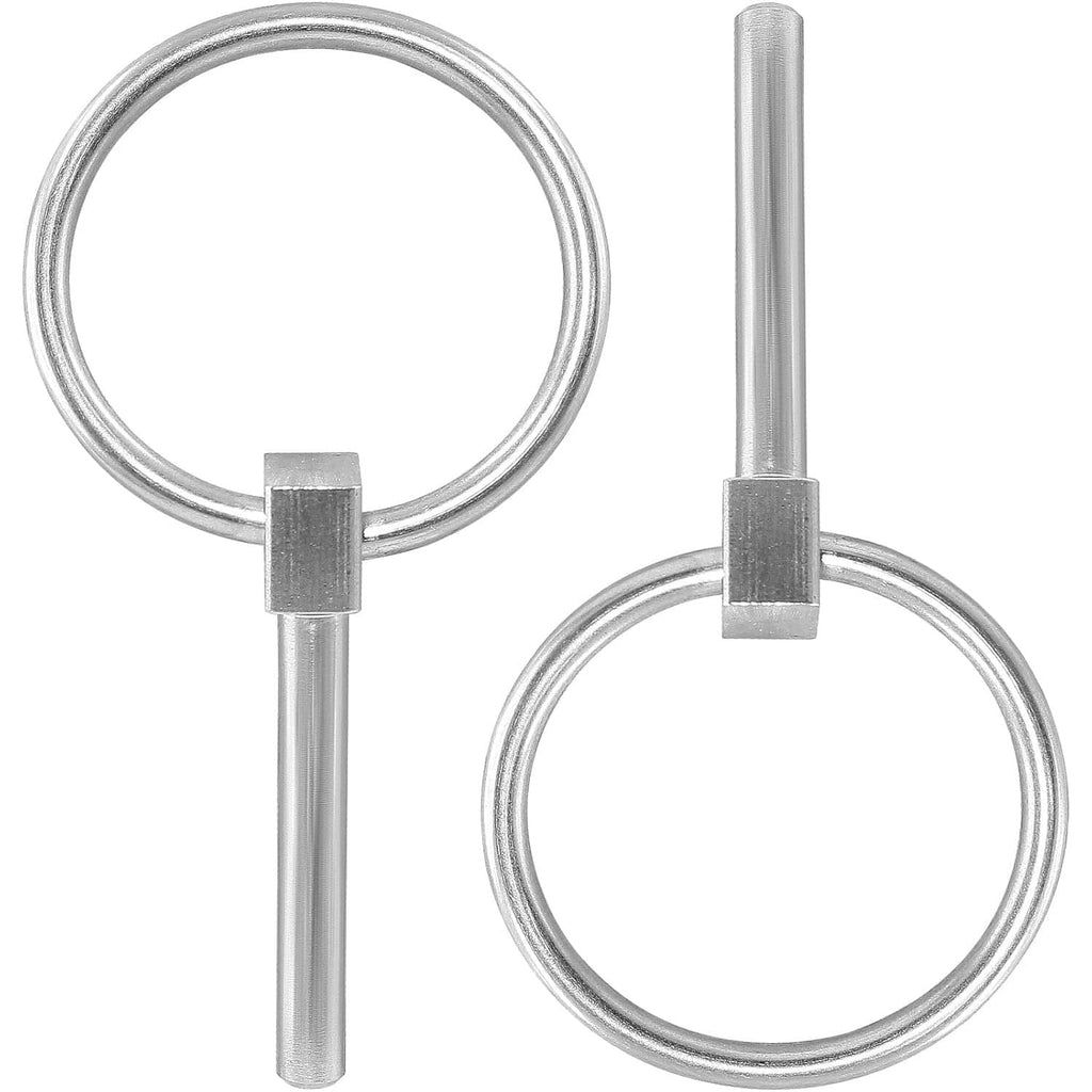 Pair of stainless steel lynch pins with loop rings and straight shafts