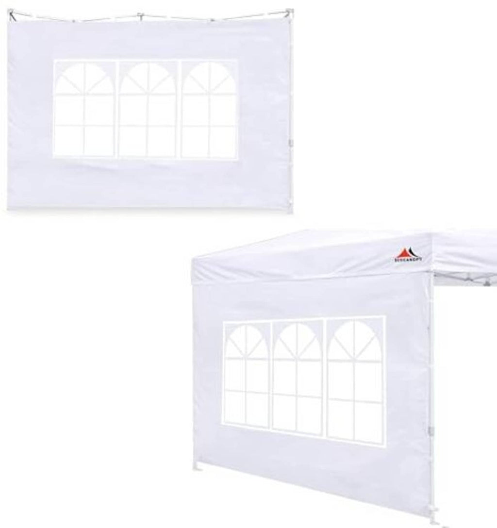 White canopy sidewall panel with clear window grid of arched panes and hanging points