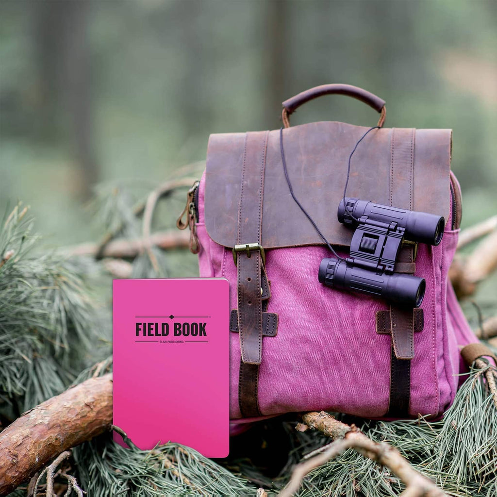 Pink mini Field Book lined notebook with logo