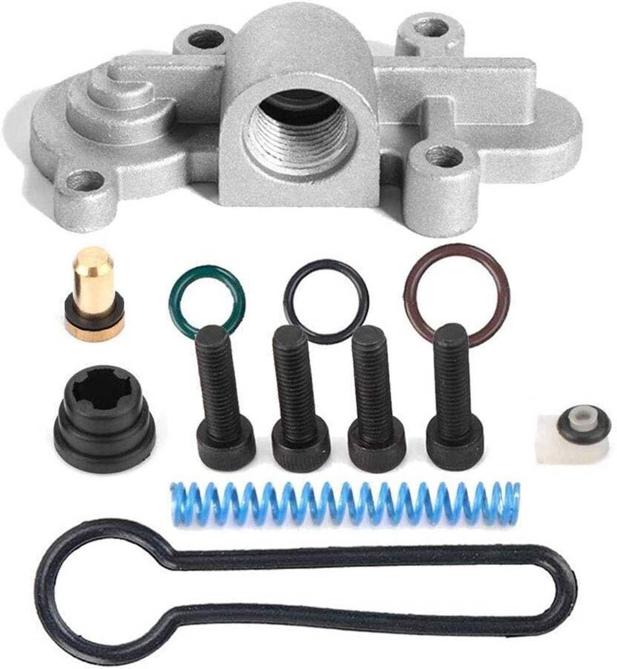 Metal fuel pressure regulator housing with O-rings, springs, and mounting bolts