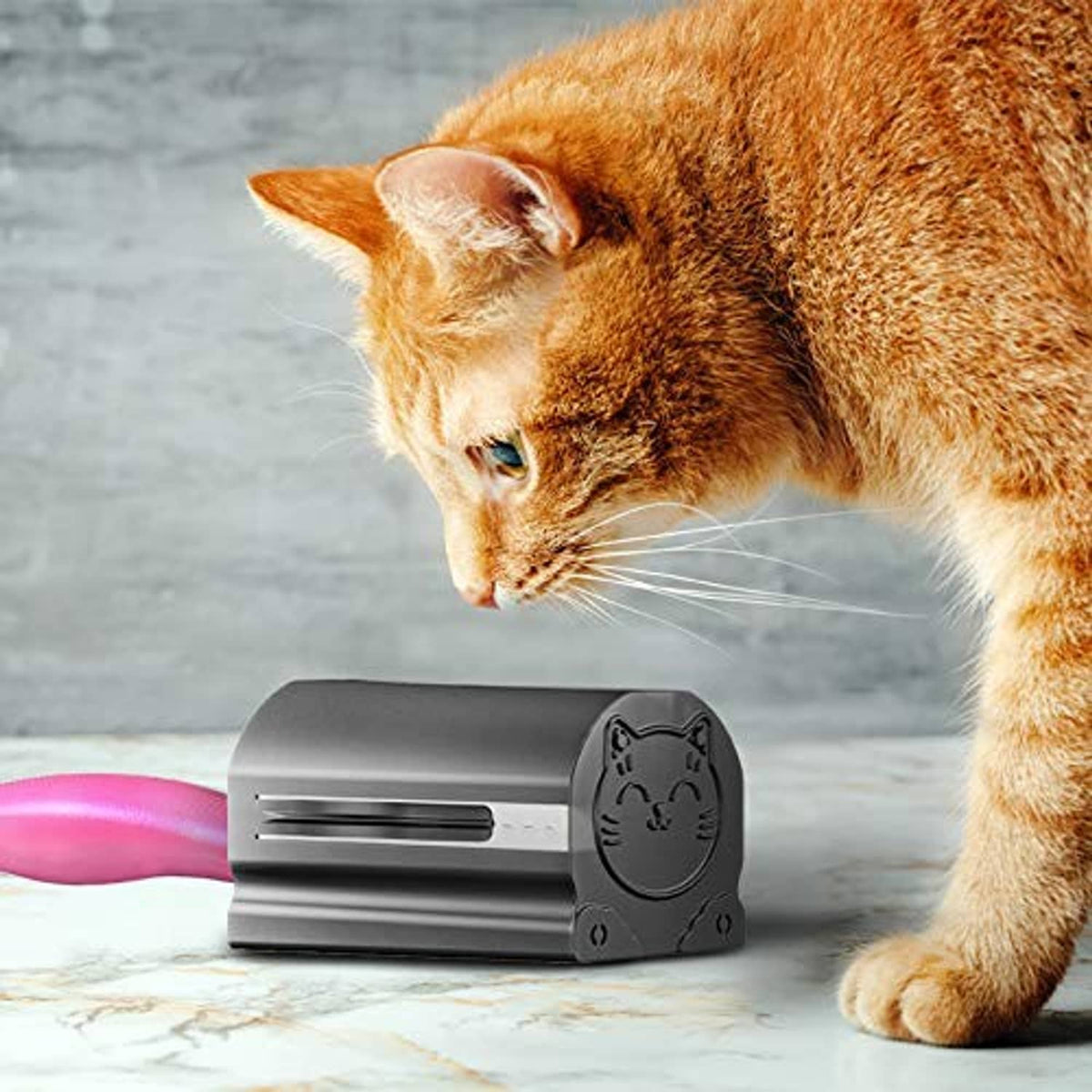 Black lint roller storage case placed on the floor near pet grooming
