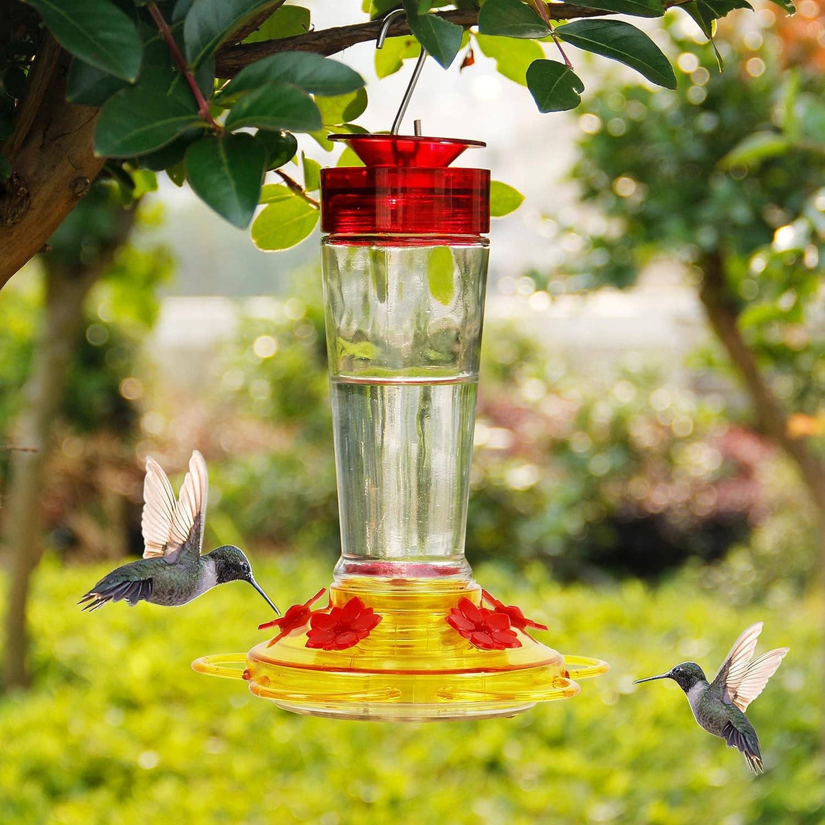Hanging hummingbird feeder with clear glass bottle, red cap, and yellow 5-port base
