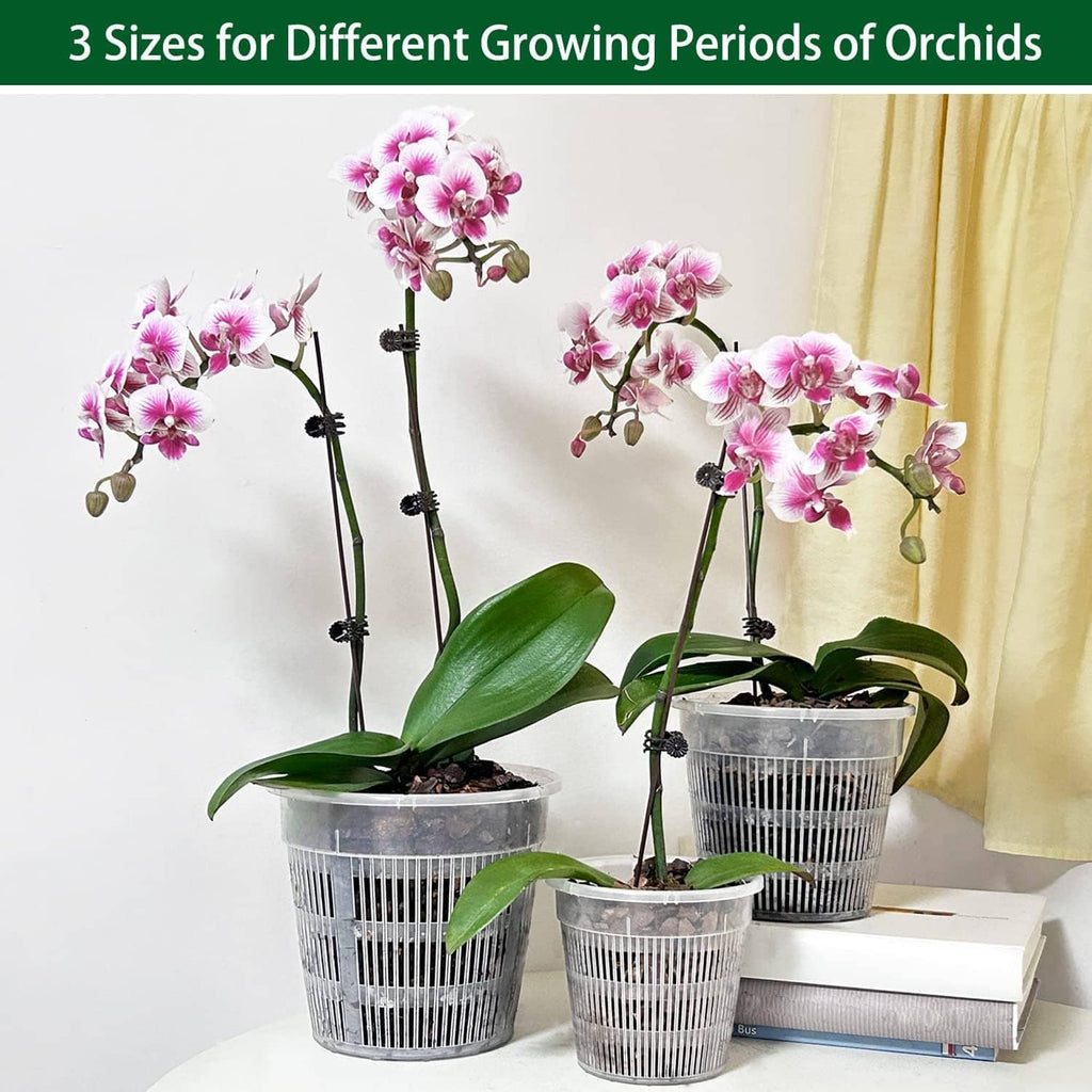 Orchid plants in clear vented cups with gray slotted sides on a windowsill
