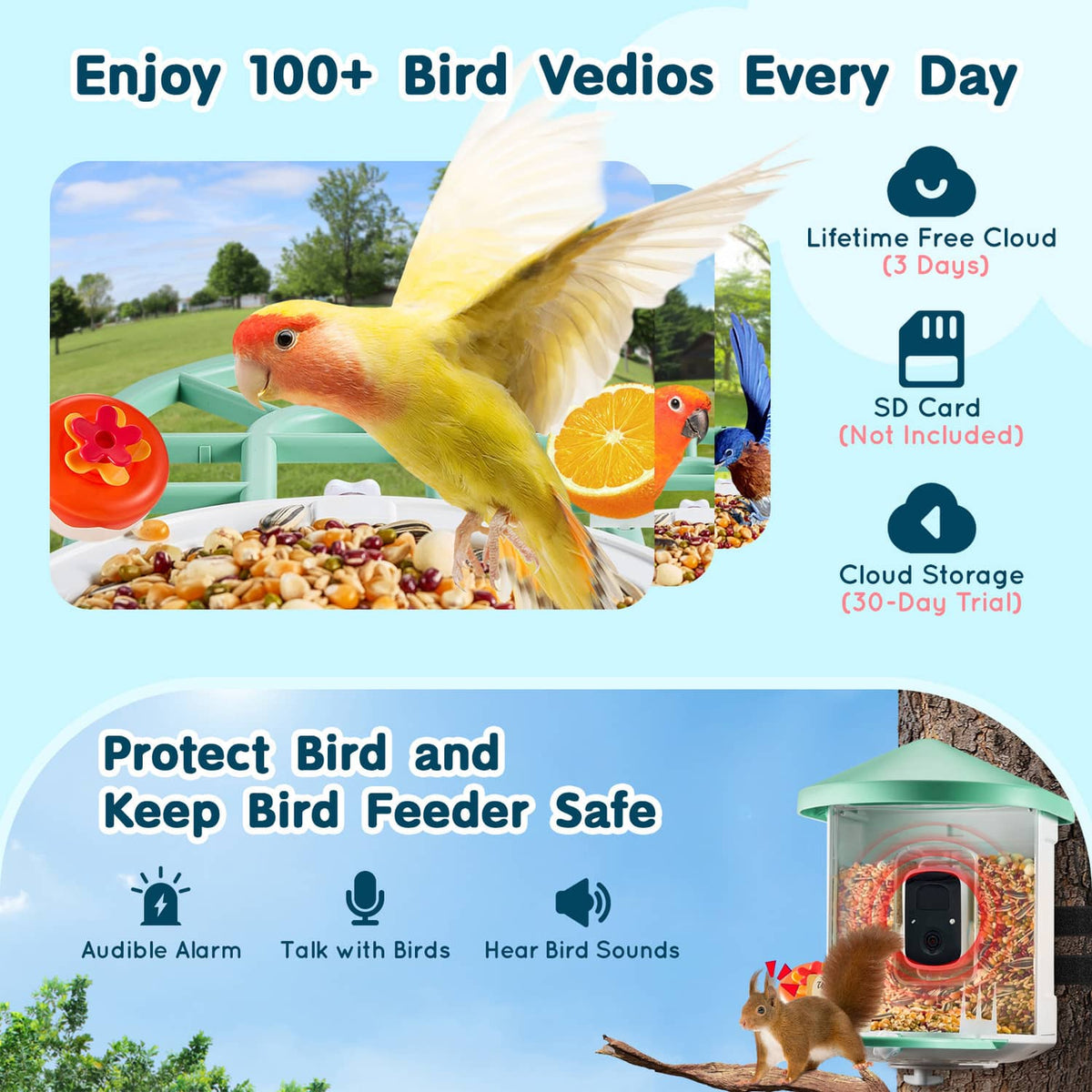 Smart bird feeder with mint roof and clear sides, black camera visible on seed chamber.