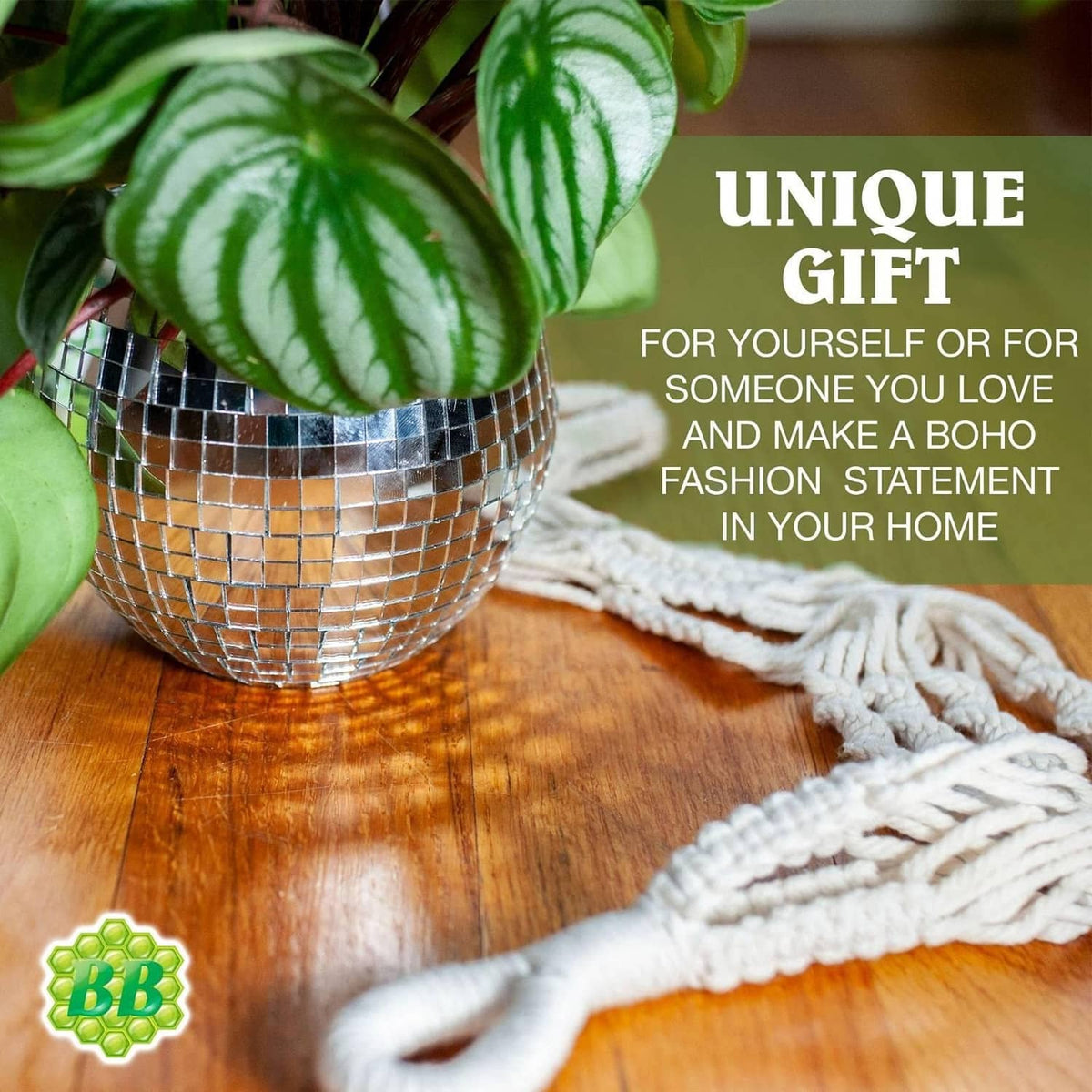 Off-white macrame plant hanger basket detail with potted plant and short rope ends