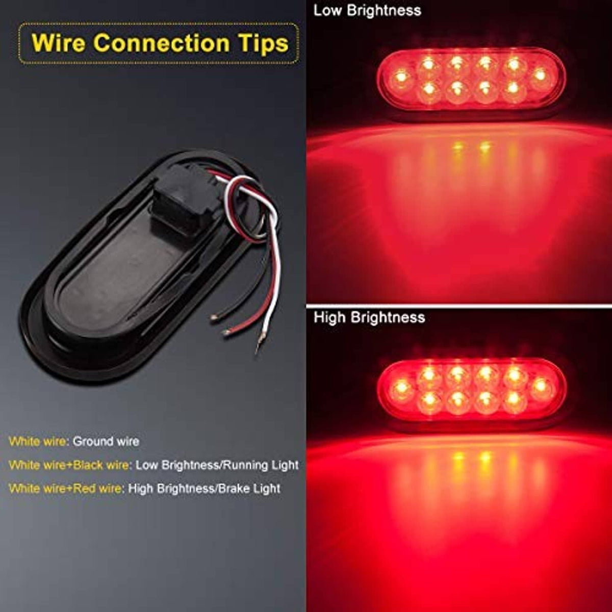 LED oval light harness with red LED tail lights; low and high brightness glow