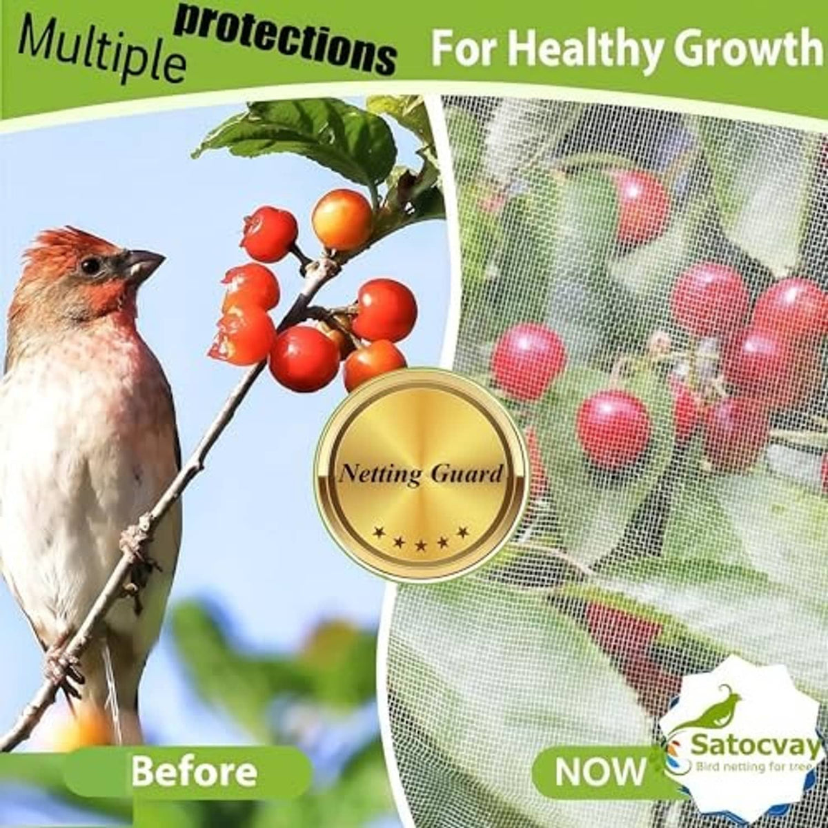 Protective garden netting mesh panel with red fruit and a bird illustration