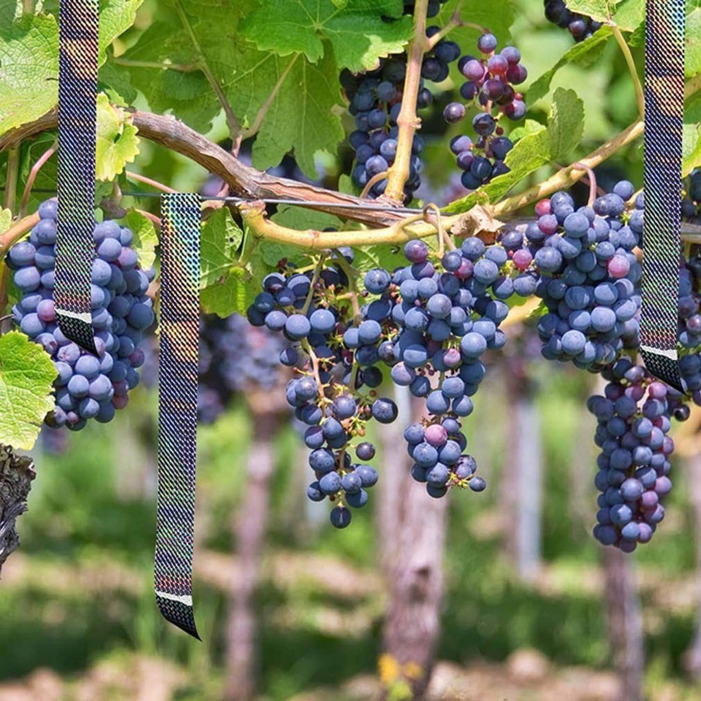 Holographic reflective tape strips hanging in vineyard to mark grape clusters