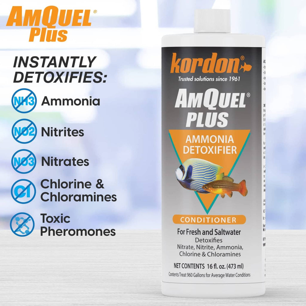 Kordon AmQuel Plus aquarium conditioner bottle with ammonia detoxifier label