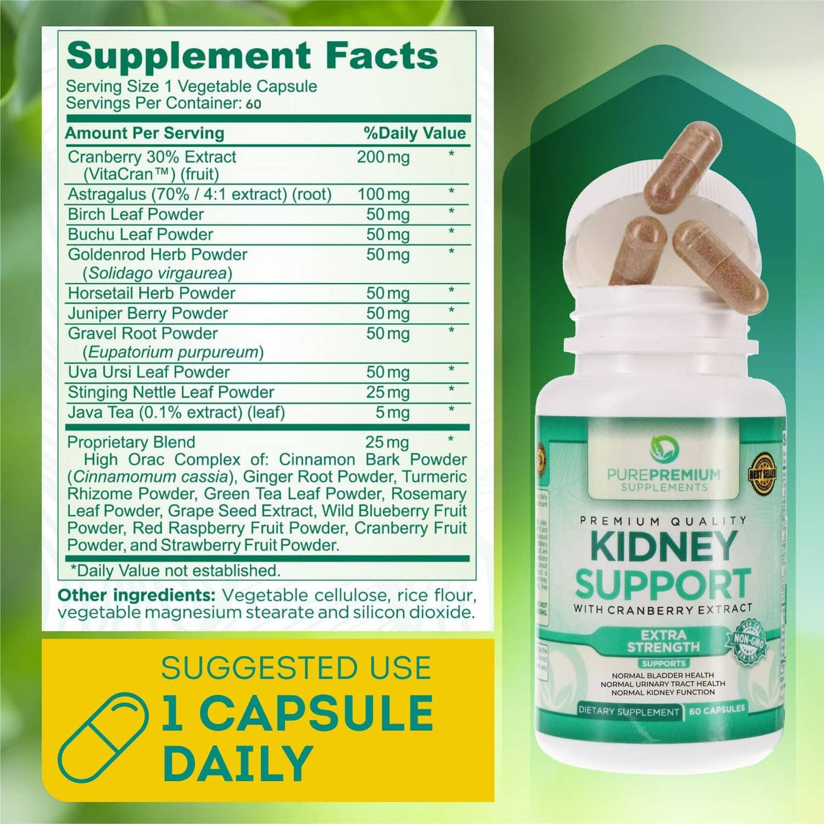 Supplement facts label and kidney support bottle with cranberry extract, 1 capsule daily.