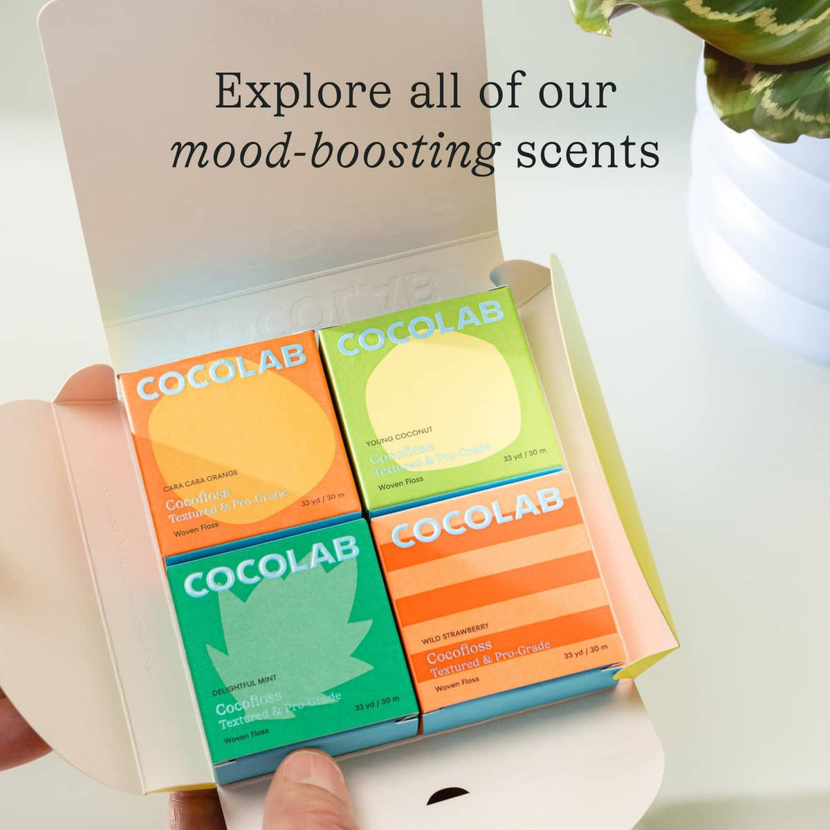 COCOLAB floss variety sampler box with four colored pouches