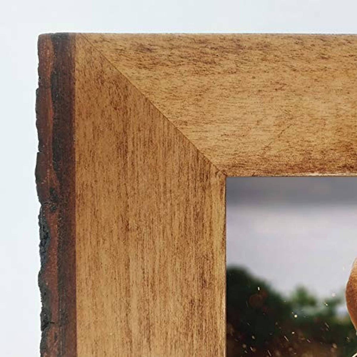 Rustic wood frame corner with bark edge texture, for 8x10 photos