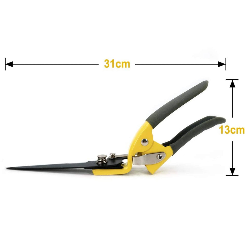 Grass shears with yellow handles and gray blades, measuring 31 cm length.