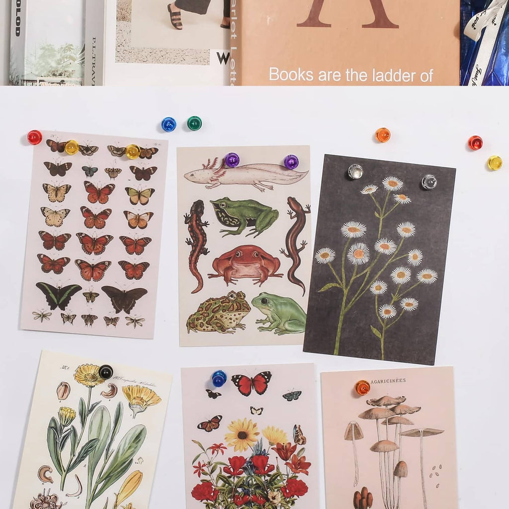 Magnetic push pin magnets holding multiple art cards on a board