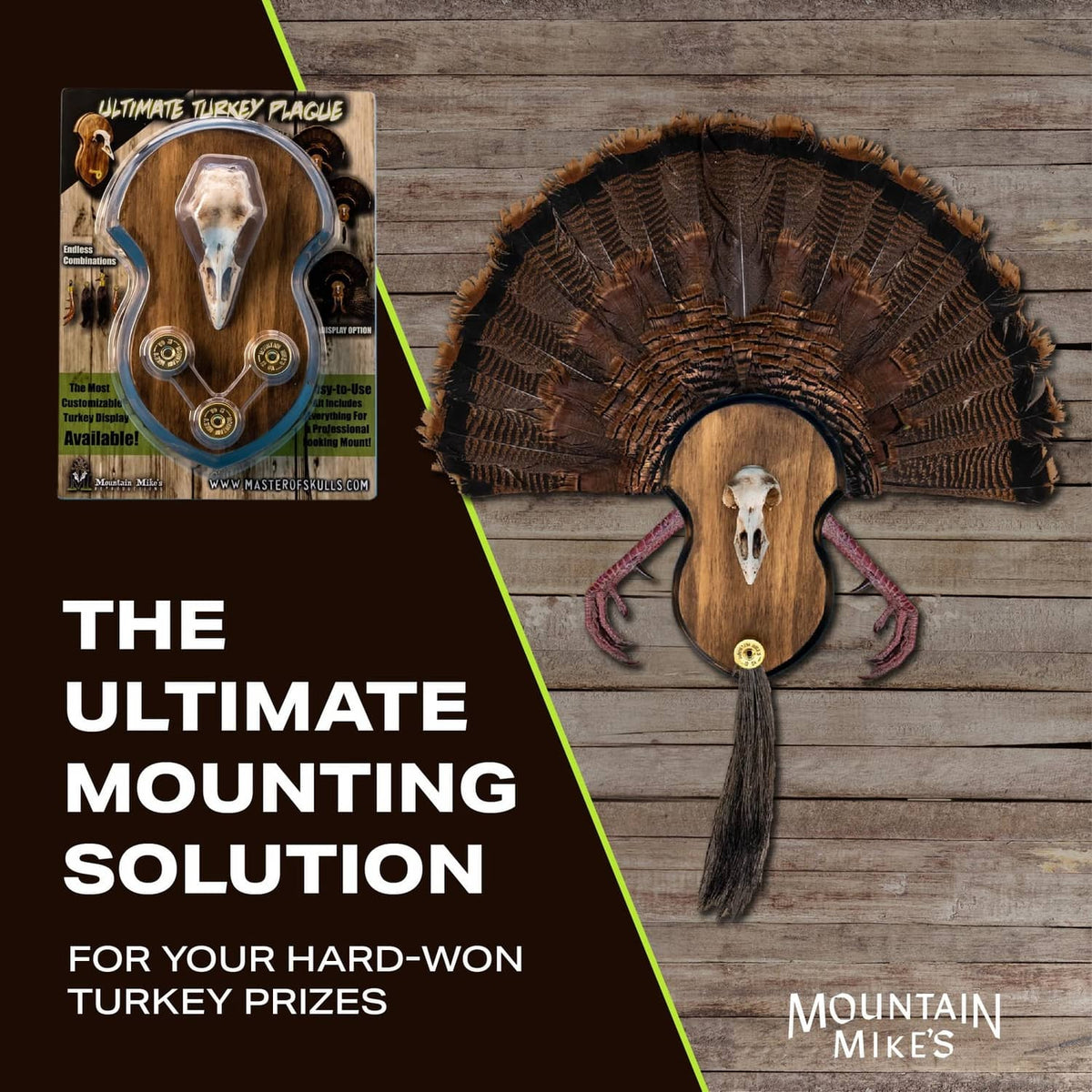 Turkey mounting plaque with feathered fan and circular brass mounts on wood